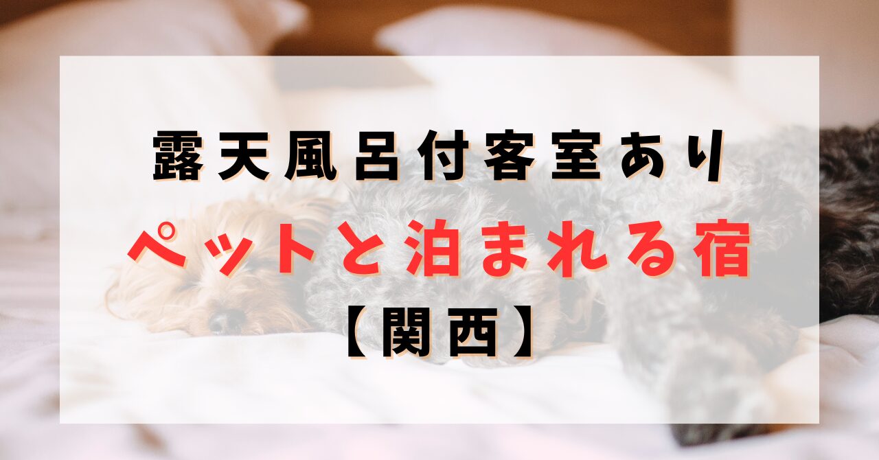 ペット と セール 泊まれる 宿 露天 風呂 付き 客室 部屋 食