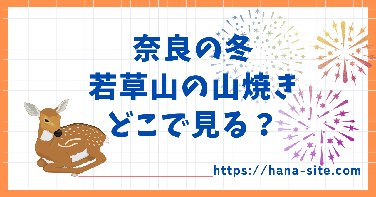 若草山焼きどこで見る